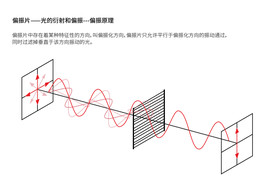 偏振原理偏振片光衍射