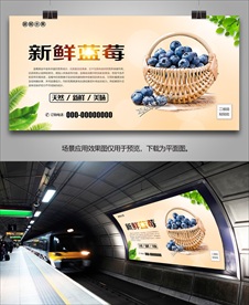 蓝莓易拉宝单页展板灯箱挂画海报