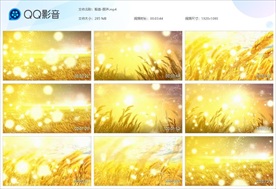 稻香歌曲视频LED