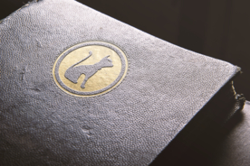 品牌logo纸质样机