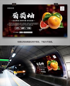 西柚单页海报灯箱易拉宝挂画展板