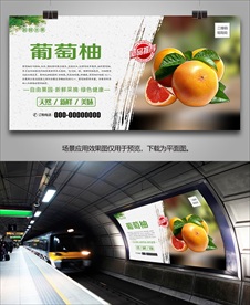 西柚展板单页灯箱挂画展架海报