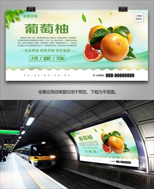 葡萄柚灯箱易拉宝挂画展架单页