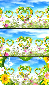 高清爱心花环蝴蝶春天视频素材