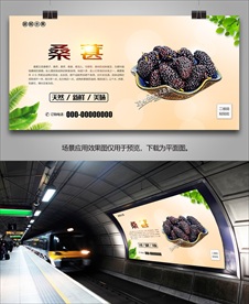 桑葚挂画单页易拉宝海报展板展架