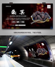 桑葚单页灯箱易拉宝海报挂画展架