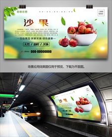 沙果灯箱展板挂画单页展架易拉宝