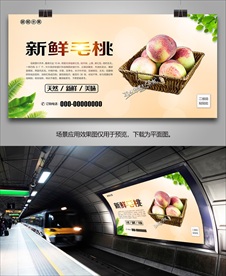 毛桃灯箱展板易拉宝挂画单页海报