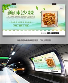 沙棘易拉宝展板挂画展架单页灯箱