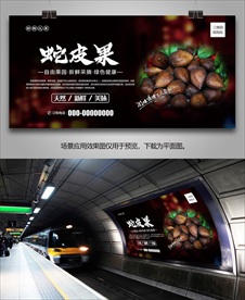 蛇皮果展板海报挂画单页灯箱