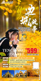 云南 腾冲 秋天 银杏 旅游