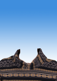 女士服装证件照模板