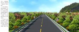 道路绿化设计案例效果图
