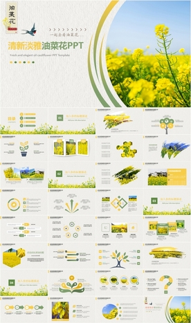 清新油菜花风景油菜花田PPT