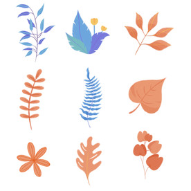 肌理感手绘植物元素