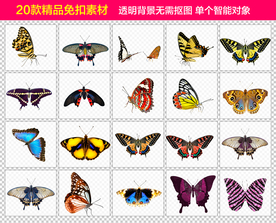 蝴蝶免抠素材
