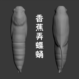 香蕉弄蝶蛹3D模型