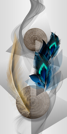 羽毛装饰画玄关画