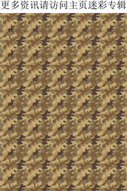 迷彩 迷彩花纹 迷彩图案