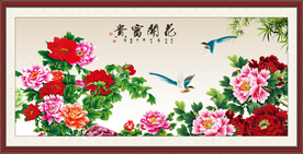 牡丹花 花开富贵