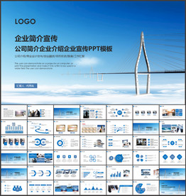 企业介绍公司简介产品推介PPT
