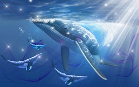 梦幻鲸鱼 梦幻海豚 炫酷鲸鱼