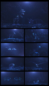 大气粒子星座动物视频背景