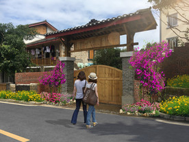 城镇改造 农家院子 乡村改造