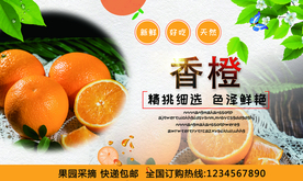 香橙