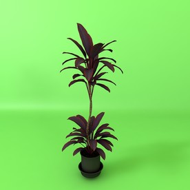 花草模型 植物模型 花卉模型