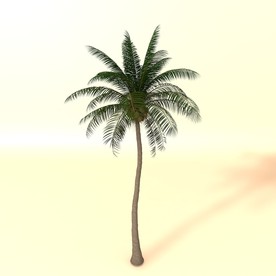 树木模型 植物模型 花草模型