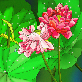 手绘荷花