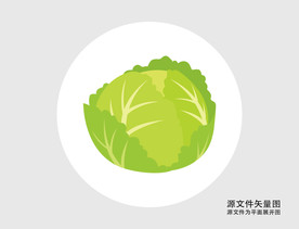 卡通卷心菜插画图标
