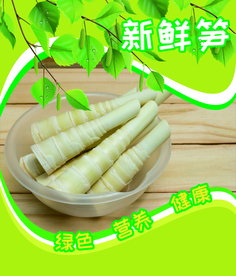 新鲜笋