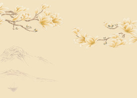 超高清手绘玉兰