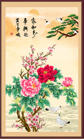 牡丹花