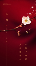 红色小寒大寒节气刷屏稿