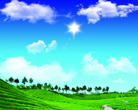 蓝天白云草地