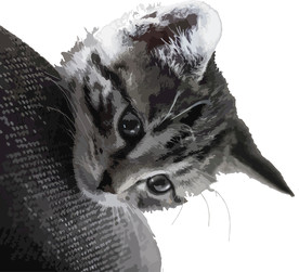 动物猫科矢量素材