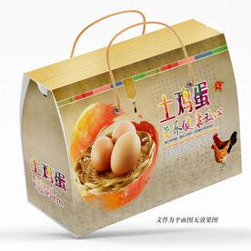鸡蛋礼盒包装