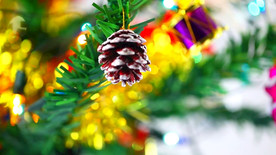 圣诞 庆典 节日 新年  喜庆