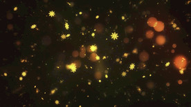 圣诞 庆典 节日 新年  喜庆