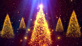 圣诞 庆典 节日 新年  喜庆