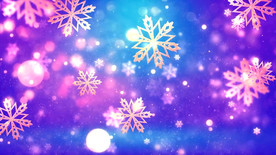 圣诞 庆典 节日 新年  喜庆