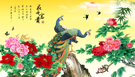 牡丹花 花开富贵