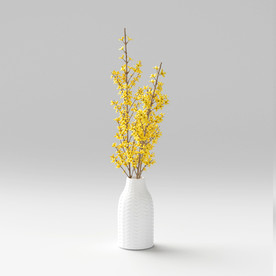 C4D盆栽建模渲染