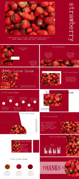 餐饮美食招商加盟商业PPT模板