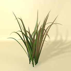 花草模型 植物模型 花卉模型