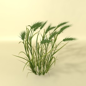 花草模型 植物模型 花卉模型