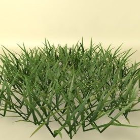 花草模型 植物模型 花卉模型